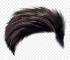 Boy Hair Png Hd Transparent Png Vhv Here you can explore hq hair transparent illustrations, icons and clipart with filter setting like size, type, color etc. boy hair png hd transparent png vhv