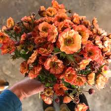 Wondering what a cutting garden is and how to grow one? Pin On Cut Flower Garden