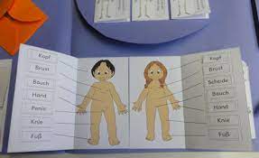 Vorlagen herbst lapbook zaubereinmaleins designblog abschnitt von lapbook vorlagen pdf, vielen dank zu: So Koennte Das Lapbook Aussehen Zaubereinmaleins Designblog