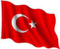 Kurt E Kur An Olmadi Turk E Bayrak Verelim Bayrak Mozaic Sanati Resim