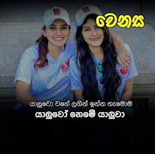 Pin By Nilakna Mandini On Sinhala Quotes Friends Quotes Good Morning Friends Images Baby Jokes Friendship whatsapp status sinhala status sinhala quotes. sinhala quotes