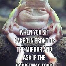 Don't even get us started. Vsgcom Instagram Posts Gramho Com