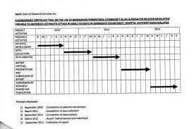 Research Proposal Gantt Chart Custom Paper Example