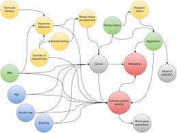 Men with a brca mutation are also at a. Frontiers Metastatic Breast Cancer And Pre Diagnostic Blood Gene Expression Profiles The Norwegian Women And Cancer Nowac Post Genome Cohort Oncology