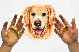 Dogs had an increase in popularity due to an exposed interview with no jumper and a music video directed by cole bennett of lyrical lemonade. Golden Retriever Watercolor Set Dog Illustrations 6 Dogs By Susik Shop Thehungryjpeg Com