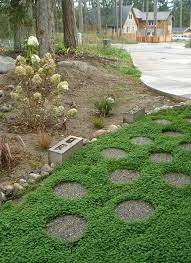 Wizard03 By Jasie Tarae Via Flickr Garten Design Traumgarten Garten