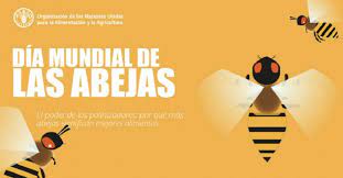 Las 5 investigaciones importantes contra donald trump. Sabias Que El 20 De Mayo Se Celebra El Dia Mundial De Las Abejas