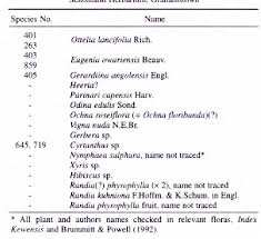 Image result for Gerardiina angolensis