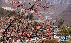 Musim luruh dalam bahasa arab. Kenali Beijing Pemandangan Musim Luruh Seindah Lukisan Facebook