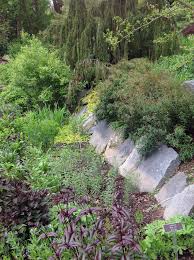 Rain Garden Edge At Brookside Gardens Rain Garden Design Garden Design Garden Planning