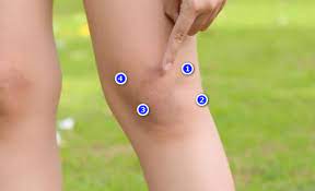 We did not find results for: 88 Arti Kedutan Lutut Kanan Menurut Primbon Jam Dan Islam Lengkap Kedutan Tekukan Lutut