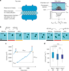 We did not find results for: Size Control In Mammalian Cells Involves Modulation Of Both Growth Rate And Cell Cycle Duration Nature Communications
