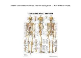 Read E Book Anatomical Chart The Skeletal System Pdf Free