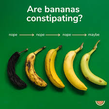 The best answers are voted up and rise to the top. Help My Baby Is Constipated After Starting Solids Happy Healthy Eaters