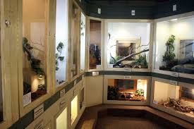 Future Reptile Room Someday You Will Be Mine Oh Yes You Will Be Mine Hhahahahaha Reptile Room Reptile House Animal Room