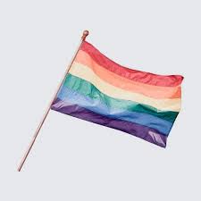 #my flags #aesthetic pride flags #desert #patterns #warm colours. Pin By Julia On Aes It Me Rainbow Aesthetic Lgbtq Young Avengers