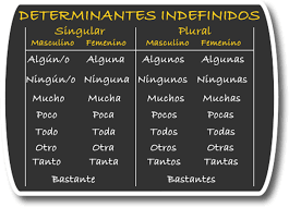 Cuantificadores Determinantes Indefinidos High School Spanish Spanish Classroom Vocabulary Building