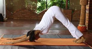Maybe you would like to learn more about one of these? Daily Yoga Tip Yoga Poses Asanas For Upper Body Strength Thehealthsite Com