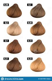 Hair Dye Colours Chart Colour Numbers 9 Stock Image