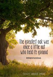 Pin On Quotes