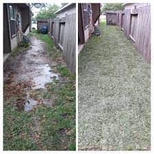 Drainage Issues Backyard Drainage Landscaping Business Backyard