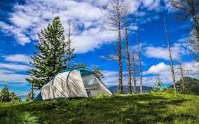 Camping In Shimla Looking For Adventure Instilled Romance In 2022