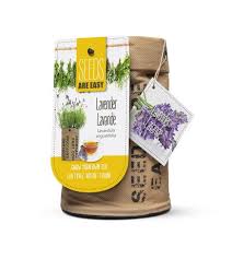 Pack of seeds (30 tuned seeds). Seeds Are Easy Lavender Tea Walmart Canada