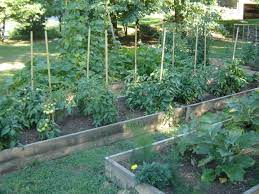 If your vegetable garden is overrun with pests, the first step is to identify the invader. The Integrated Pest Management Approach To Vegetable Gardening Part One