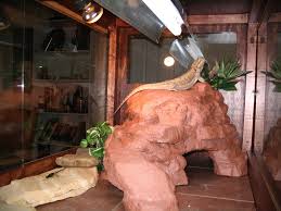 Make A Fake Rock Cave Basking Spot For A Reptile Cage 10 Steps With Pictures Instructables