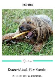 Anzeige Kauartikel Com Midoggy Community Hunde Welpen Hunde Ernahrung