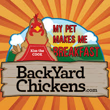Antibiotics For Geese Chickens Backyard Chicken Coop Chickens