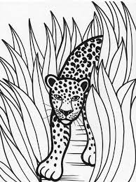 Birds printable coloring pages for adults resolution image size. Pin On Art