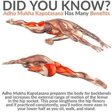 Did You Know Of These Amazing Benefits Of Yoga Save Follow Fitandfiesty For More Health Diet Advice Yoga Benefits Yoga Anatomy Yoga Postures