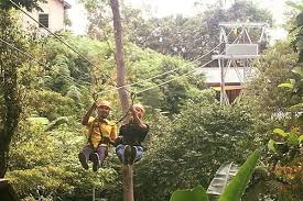Panorámica de penang hill y the habitat nature discovery. The Habitat Penang Hill Tickets Rm35 Tripcarte Asia