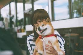 Girl And Dog Tumblr Kopekli Bayan Avatarlari Kopek Avatarlari Girl Dog Tumblr Sayfa 6 Forumtutkusu Com Forum Tutkunlarinin Tek Adresi Kopek Resimler