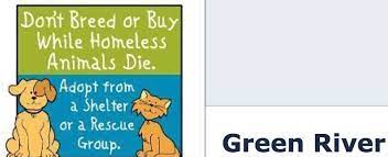 Ky Green River Animal Shelter 455 Appleby Dr Columbia Ky 42728 270 385 9655 Adair County Animal Shelter Animals Shelter