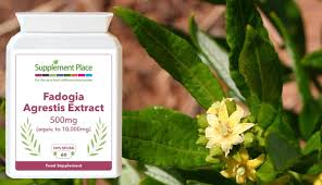 Image result for Fadogia