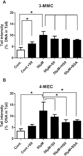 Strong energy levels, euphoria, tactile enhancement, stamina enhancement, and disinhibition are other findings that are commonly associated with this research chemical. Investigations Of The Genotoxic Properties Of Two Synthetic Cathinones 3 Mmc 4 Mec Which Are Used As Psychoactive Drugs Toxicology Research Rsc Publishing