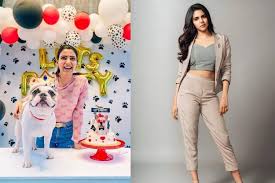 ▽▽▽ click the « show more » link below to view the full telugu actress samantha dance at his mama nagarjuna birthday party. This Has My Heart Kalyani Priyadarshini On Birthday Pic Of Samantha S Dog Hash The News Minute