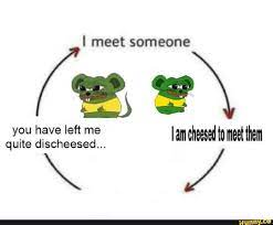 I meet someone you have left me I am cheesed to meet them quite discheesed...  - iFunny Brazil