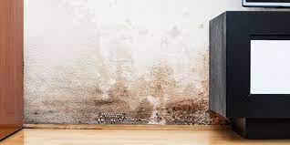 How To Get Rid Of Damp - Which?