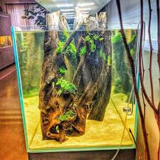 Aquascaping Mit Co2 Anlage Aquascaping Aquarium Fische Aquarium
