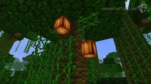 Illuminated Cocoa Beans A Natural Looking Light Source Minecraftsuggestions