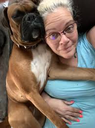 Bear dog needs new home today