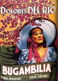 Ya eres mayor para ser comunista. Bugambilia Wikipedia