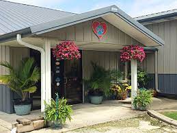 We offer small animal, dog and cat veterinary, as well as grooming and boarding services. Companion Care Veterinary Clinic Lake Charles La Home