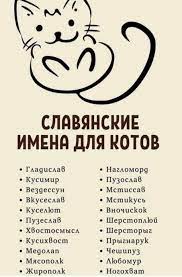pin na doske zhivotnye