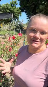 Rosa do Deserto Apodi (@rdapodi) • Instagram फोटोहरू र भिडियोहरू