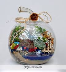 Mahmut Kirnik 2380 Minyatur Bahceler Teraryum Terrarium