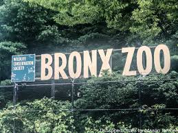 16 coupons and 10 deals which offer. The Top 10 Secrets Of The Bronx Zoo In Nyc Untapped New York